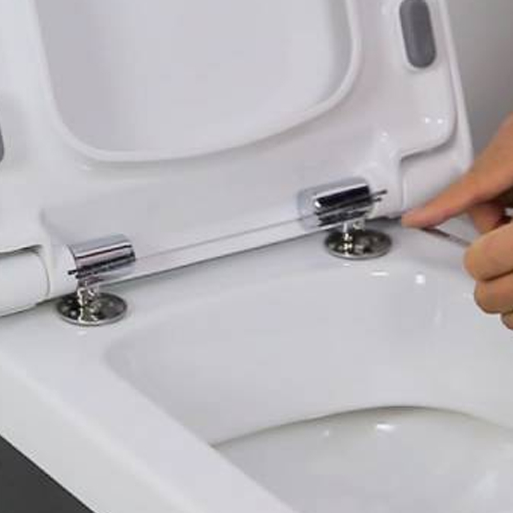 Toilet Seat Installation 