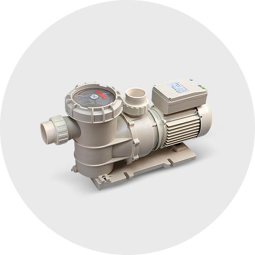 Pool & Spa Pumps