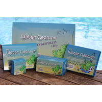 The Water Cleanser Pool Block 