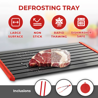 Professional Non-stick Defrosting Thawing Tray 