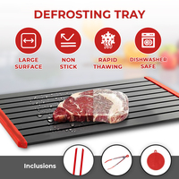 Large Thawing Defrosting Tray