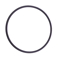 Emaux O-ring for neck Sand Filter