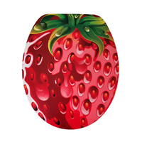 Strawberry Soft Close Toilet Seat