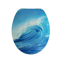 Tsunami Soft Close Toilet Seat