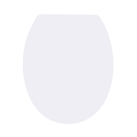 White Matte Soft Close Toilet Seat