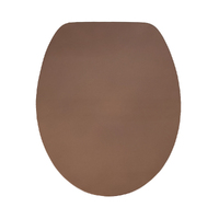 Gold Metallic Soft Close Toilet Seat