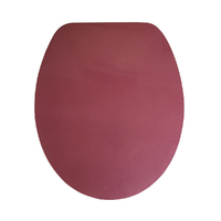 Rose Metallic Soft Close Toilet Seat