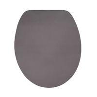 Silver Metallic Soft Close Toilet Seat