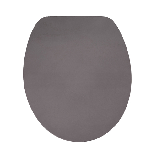Silver Metallic Soft Close Toilet Seat